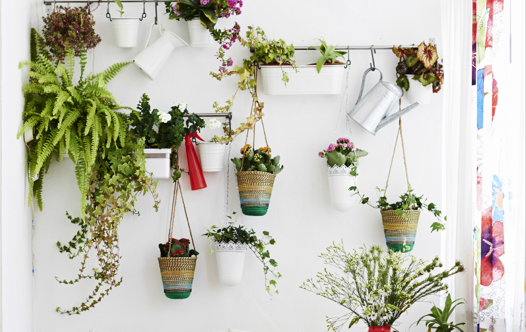 Le mur végétal, un jardin dans votre intérieur