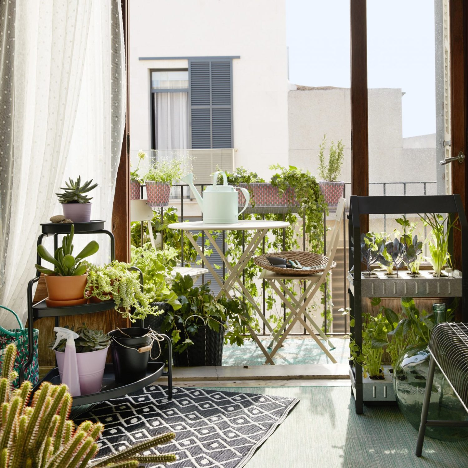 Créer un mini potager sur son balcon