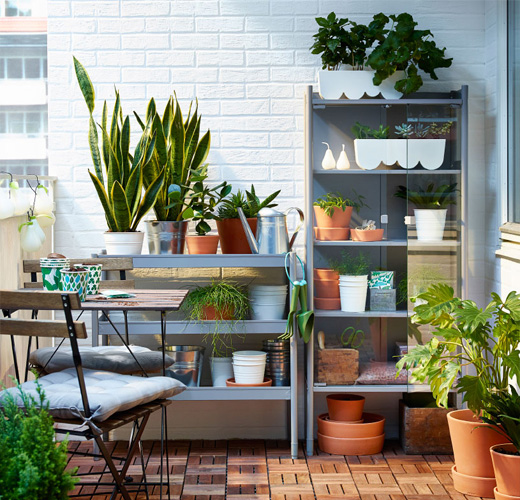 potager balcon