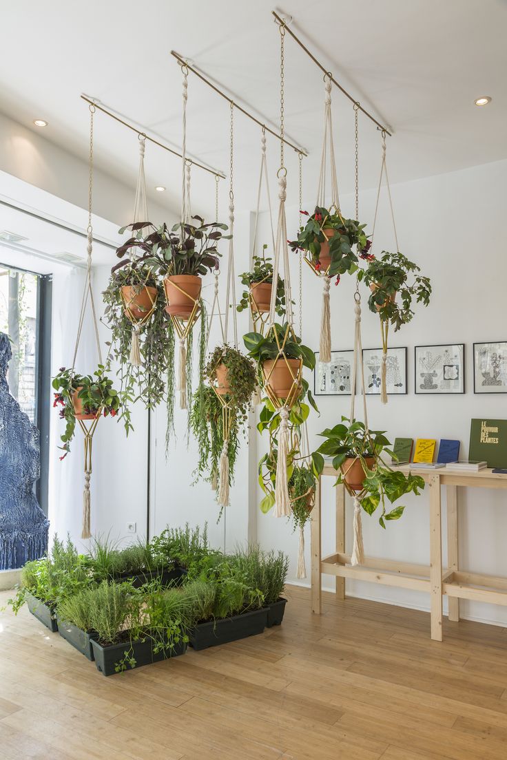 Jardin d’été en intérieur pour citadines en mal de verdure