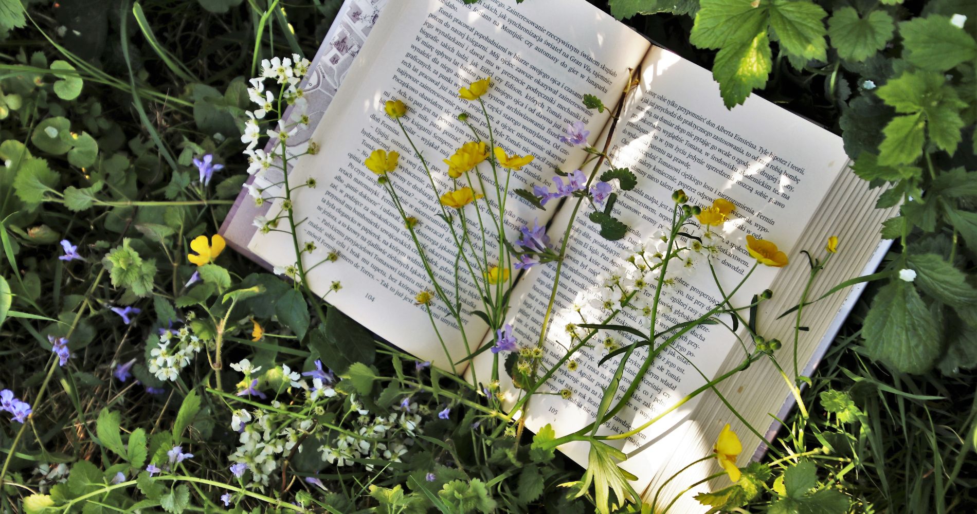 coin lecture jardin